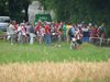 DSC00594