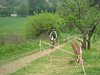 IMG_3287