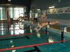 Campionato di nuoto e pallanuoto 14-06-09 054