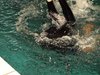 Campionato di nuoto e pallanuoto 13-06-09 124