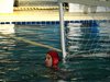 Campionato di nuoto e pallanuoto 13-06-09 247