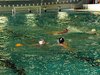 Campionato di nuoto e pallanuoto 13-06-09 240