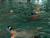 Campionato di nuoto e pallanuoto 13-06-09 360
