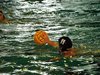 Campionato di nuoto e pallanuoto 13-06-09 189