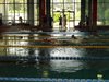 Campionato di nuoto e pallanuoto 13-06-09 099