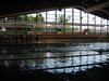IMG_4483