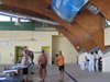 IMG_4259