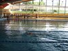 IMG_4487