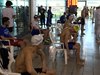 IMG_0331