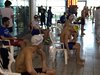 IMG_0330