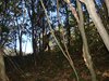 DSC04198