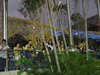 IMG_0438