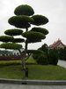 DSCN5167