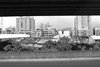 R0010175