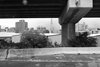 R0010176
