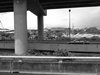 R0010181