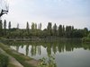 IMG_0212