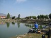 IMG_0442