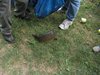IMG_0351