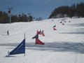 IMG_8451