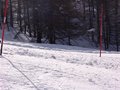 DSC02776