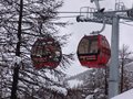 DSC02734