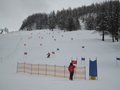 IMG_8373
