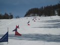 IMG_8454