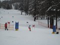 IMG_8349