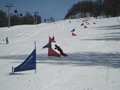 IMG_8460