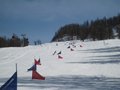 IMG_8449