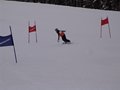 DSC02677