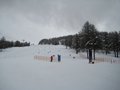 IMG_8341
