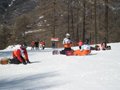 IMG_8457