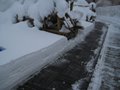 IMG_8316