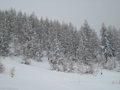 IMG_8392