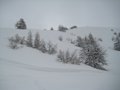 IMG_8381