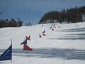 IMG_8443