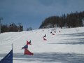 IMG_8442