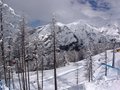 DSC02624