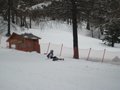IMG_8354