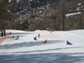 IMG_8441
