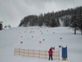IMG_8366