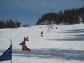 IMG_8446