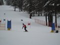 IMG_8374
