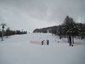 IMG_8335
