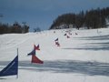 IMG_8450