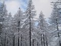 IMG_8333