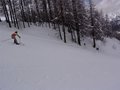 DSC02705