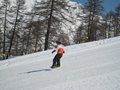 IMG_8419